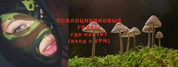 a pvp Армянск