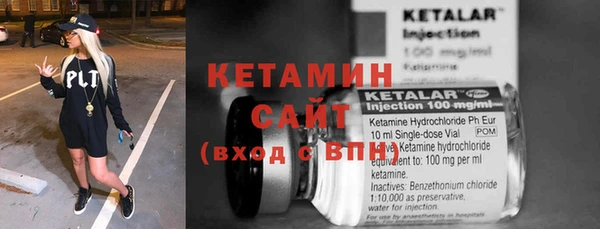 трава Аркадак
