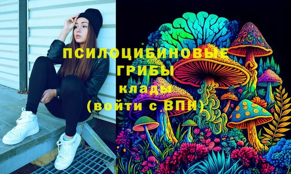 трава Аркадак