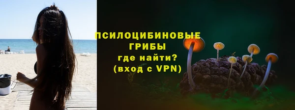 трава Аркадак