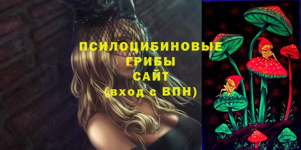 мяу мяу мука Арсеньев