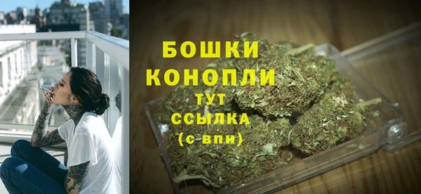 трава Аркадак
