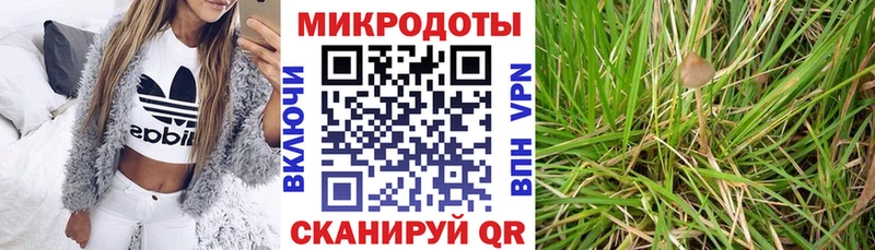 Псилоцибиновые грибы мухоморы  купить наркотик  Междуреченск 