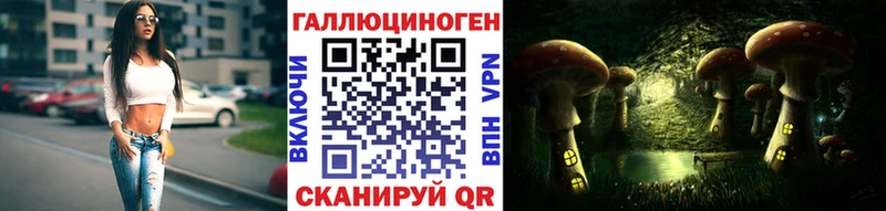 Галлюциногенные грибы Psilocybe Междуреченск
